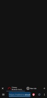 pb.tabs.bad_metadata_current_tab.3.jpg