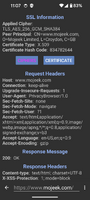 Incorrect Button Text Color.png