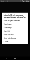 Image Context Menu.png